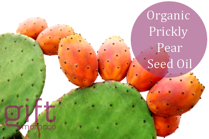 Prickly Pear Seed Oil - GIFT MOROCCO