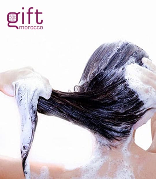 Natural Shampoo with Organic Argan Oil In Bulk Gift Morocco